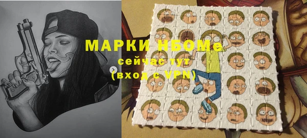 гашик Алексеевка