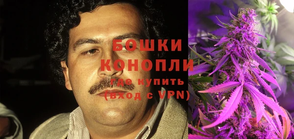 гашик Алексеевка